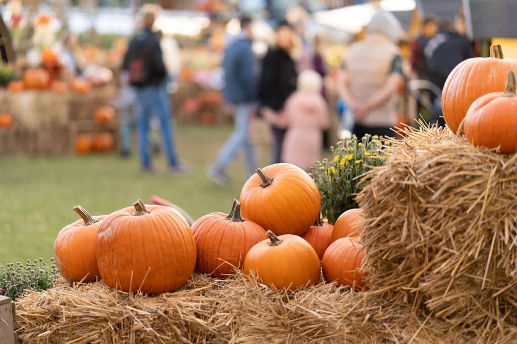 Fall Market